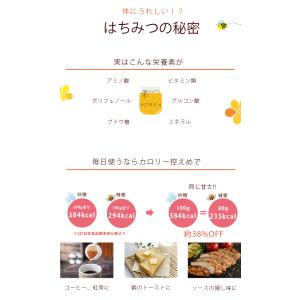 ウクライナ産純粋百花はちみつ1000g 蜂蜜 ...の詳細画像2