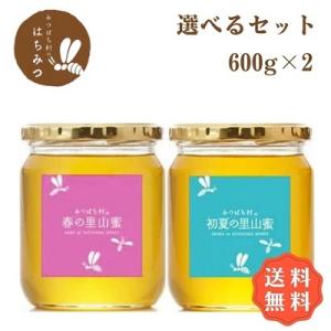 国産はちみつ 600g2本セット 純粋 非加熱 岐阜県産 蜂蜜 春日養蜂場｜honey-shop