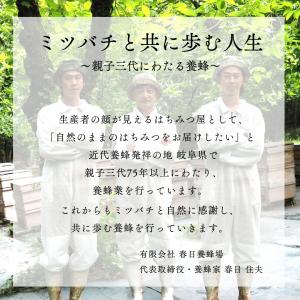 養蜂家から直送! 国産はちみつ 600g2本s...の詳細画像1