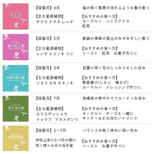 養蜂家から直送! 国産はちみつ 600g2本s...の詳細画像3