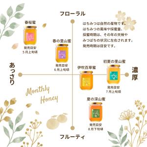 養蜂家から直送! 国産はちみつ 600g2本s...の詳細画像4