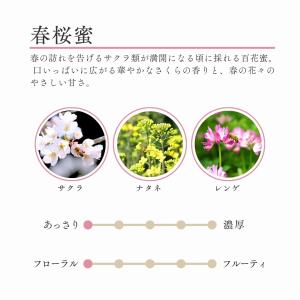 養蜂家から直送! 国産はちみつ 600g2本s...の詳細画像5