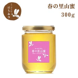 生産直売 国産はちみつ 国産 2025年 春桜蜜600g 岐阜県産 蜂蜜