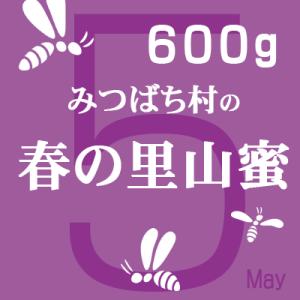 はちみつ 国産 純粋 2026年蜜 6月14日...の詳細画像1