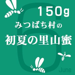 はちみつ 国産 純粋 初夏の里山蜜150g 岐...の詳細画像1