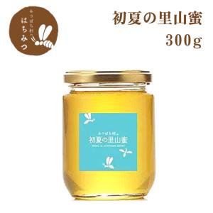 生産直売 国産はちみつ 国産 2025年 春桜蜜300g 岐阜県産 蜂蜜