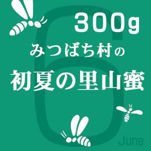 はちみつ 国産 純粋 初夏の里山蜜300g 岐...の詳細画像1