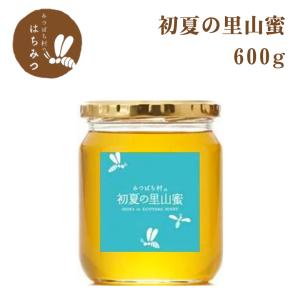 はちみつ 国産 純粋 初夏の里山蜜600g 国産はちみつ 2023年蜜 岐阜県産 非加熱｜honey-shop