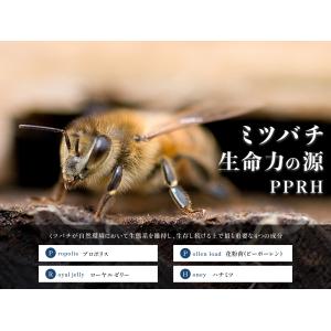 特製スペシャルPPRH250g ハチミツ プロ...の詳細画像1