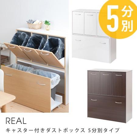 キャスター付きダストボックス REAL 5分別タイプ 薄型 ゴミ箱 ごみ箱 ダストbox くずかご ...