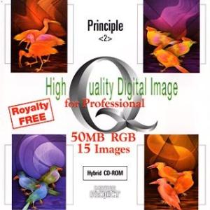 High Quality Digital Image Principle
