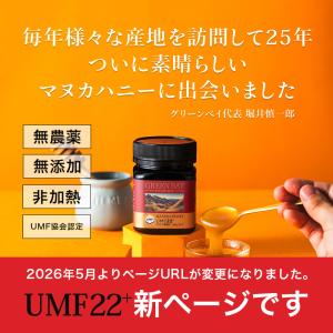 マヌカハニー UMF22+ クール便不要 発が...の詳細画像1