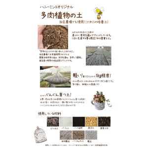 【当店農場生産】多肉植物&セダムの土 15リッ...の詳細画像1