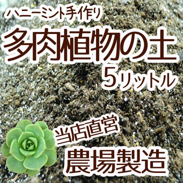 【当店農場生産】多肉植物＆セダムの土　5リットル入1袋☆多肉植物が元気に育つ！ 培養土