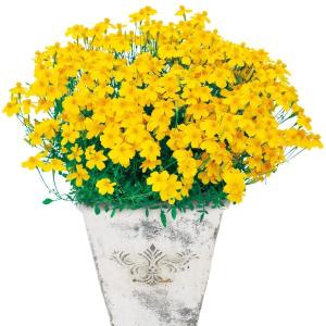 【当店農場生産】タゲテス ゴールドメダル PW 9cmポット苗 半耐寒性多年草