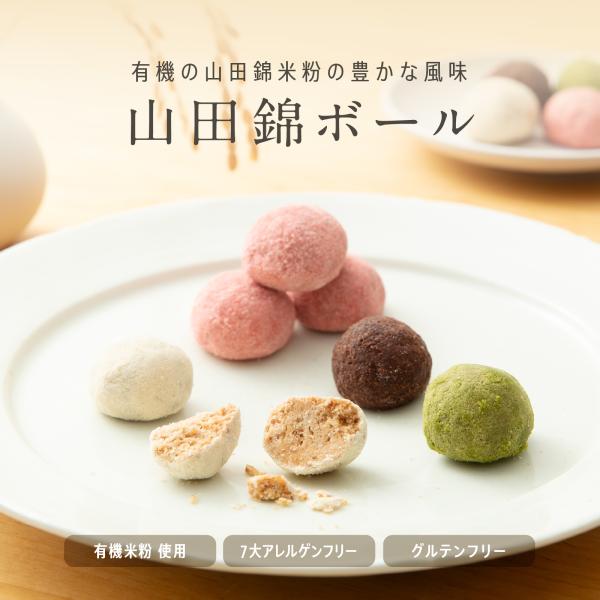 山田錦ボール[和三盆/カカオ/抹茶]『ヴィーガン&amp;』田田田堂  米粉 お菓子 クッキー アレルギー ...