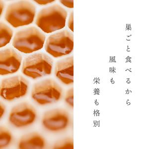 はちみつ コムハニー 340g バナナマンのせ...の詳細画像3