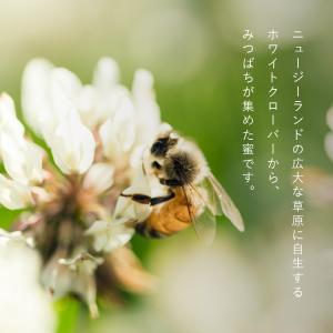 はちみつ コムハニー 340g バナナマンのせ...の詳細画像5