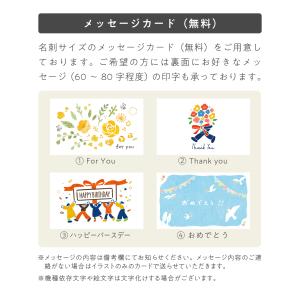 ギフトオプション ラッピング袋 商品ご購入者様対象の詳細画像4