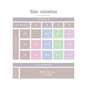 下着 アンダーウェア ブラジャー ショーツ ソ...の詳細画像5