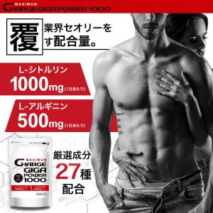 hongo-company_gigapower1000