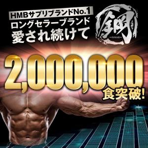 HMB クレアチン サプリ 鋼 国産 HMB ...の詳細画像1