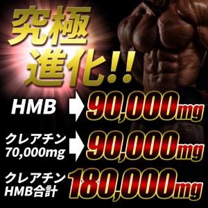 HMB クレアチン サプリ 鋼 国産 HMB ...の詳細画像3