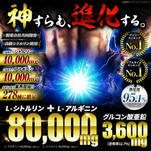 シトルリン アルギニン 80,000mg サプ...の詳細画像1