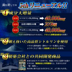 シトルリン アルギニン 80,000mg サプ...の詳細画像3