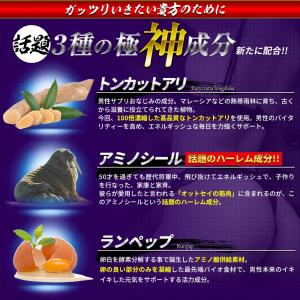 シトルリン アルギニン 80,000mg サプ...の詳細画像4