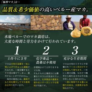 [レビュー投稿1袋プレゼント] マカ 200,...の詳細画像3