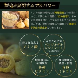 [レビュー投稿1袋プレゼント] マカ 200,...の詳細画像4