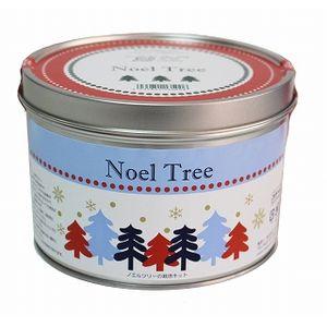 Noel Treeの栽培セット 栽培キット 栽培セット[02]