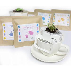ハーブ＆ベジ ドリップポット 栽培キット 栽培セット[02]