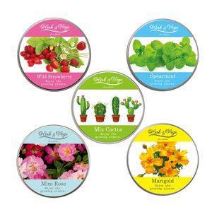 ハーブ＆ベジ ミニ 栽培キット 栽培セット[02]