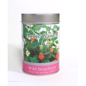 ホームガーデンS ワイルドストロベリー 栽培キット 栽培セット[02]