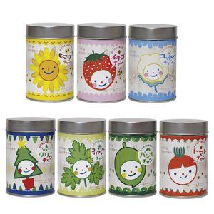 リトルガーデン ムライタケシデザイン 栽培キット 栽培セット[02]