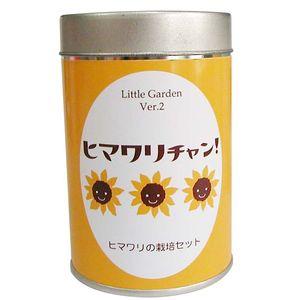 リトルガーデンＶｅｒ．２ ヒマワリチャン 栽培キット 栽培セット[02]
