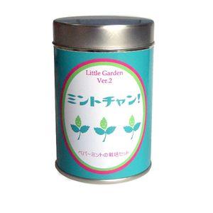 リトルガーデンＶｅｒ．２ ミントチャン 栽培キット 栽培セット[02]