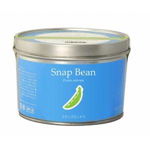 リトルガーデンプロ スナックエンドウ 栽培キット 栽培セット[02]