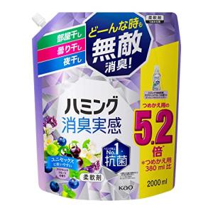 【大容量】ハミング消臭実感　柔軟剤　部屋干し/曇り干し/夜干しどーんな時も無敵消臭！　アクアティックフルーツの香り　つめかえ用2000ml｜honki-benri