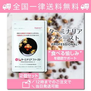 ターミナリアファースト プロフェッショナル 120粒入り ダイエットサプリ 2個セット