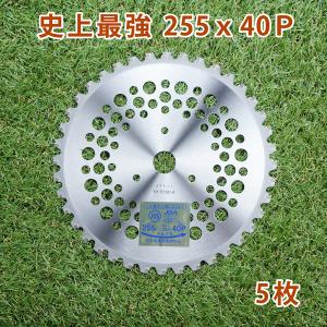 草刈りの刃 ４     最終値下げ 草刈機 刈払機 刃 史上最強刈払チップソー 255×40P : ほんまもん