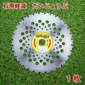 藤原産業 E-Value 軽量タイプチップソー ETT-255×40×10P ( 10枚組