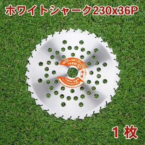 ブルーシャーク チップソー 255×36P 10枚 刈払機 草刈り : ほんまもん