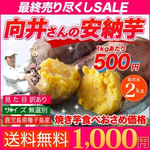 今だけお試し さつまいも 安納芋 送料無料 訳あり 鹿児島 種子島産 無選別 2ｋｇ 焼き芋や干し芋にも