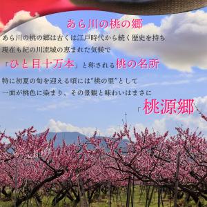 あら川の桃 あらかわ もも お中元 御中元 日...の詳細画像2
