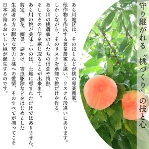 あら川の桃 あらかわ もも お中元 御中元 日...の詳細画像4