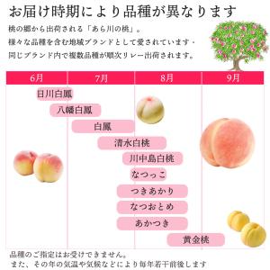 あら川の桃 あらかわ もも お中元 御中元 日...の詳細画像5