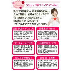 誕生日 開店祝 女性 男性 お祝い 御祝 退職...の詳細画像3